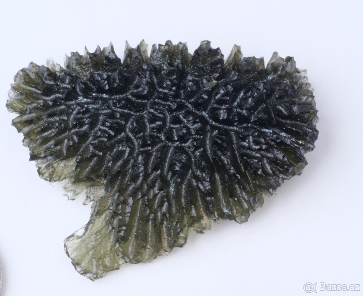 Vltavín Besednice Ježkovna - 21,5 g - 3