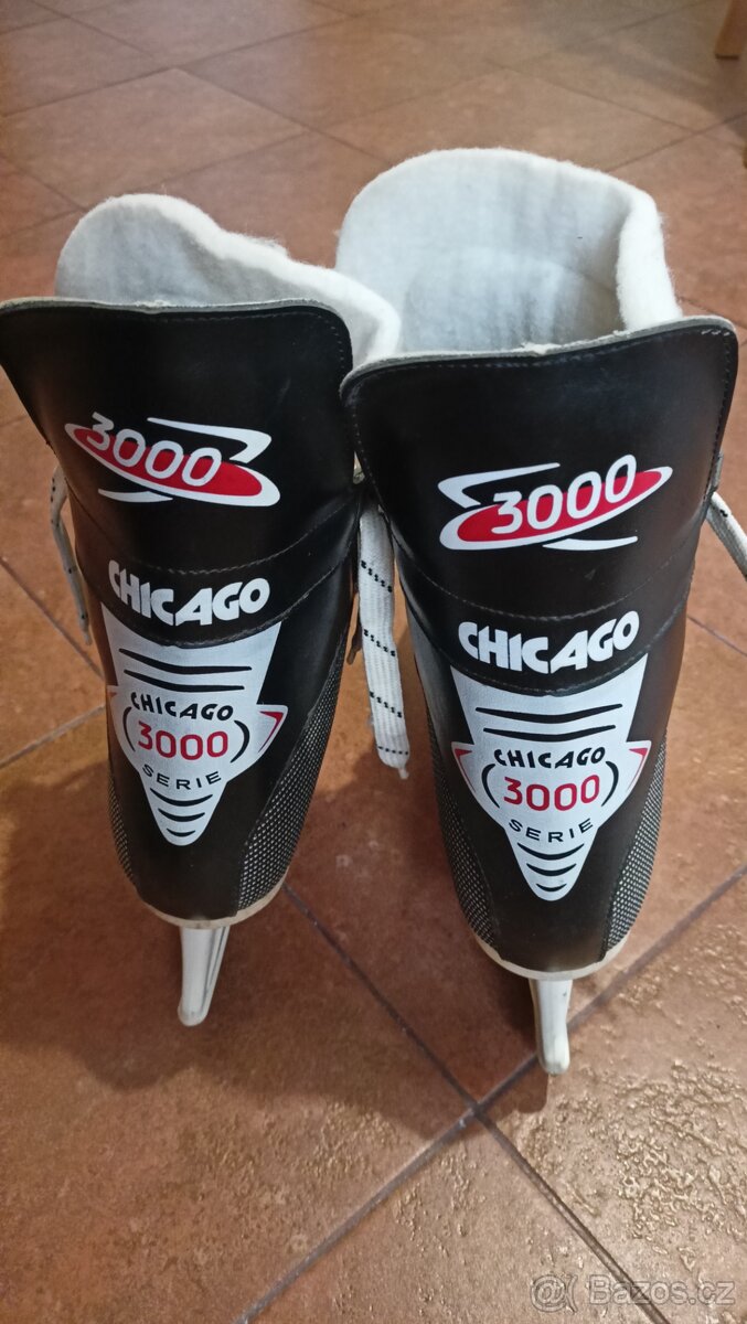 Prodám pánské brusle Botas Chicago 3000,vel.45 - 3