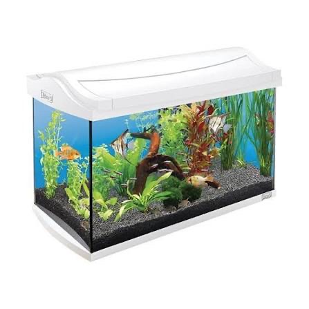 Prodám tyto různé akvária pro rybičky - 3