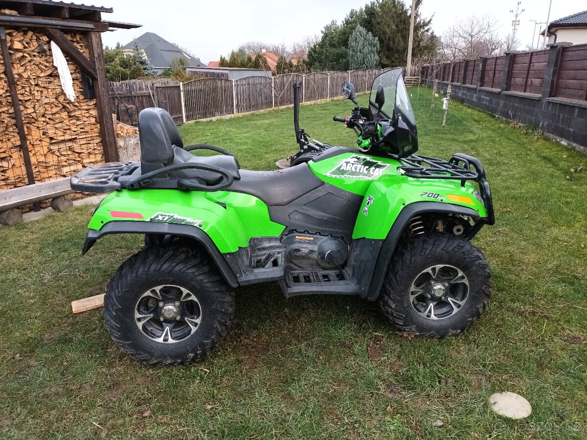 Arctic cat