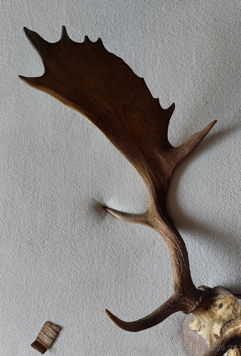 parohy a parůžky - 3