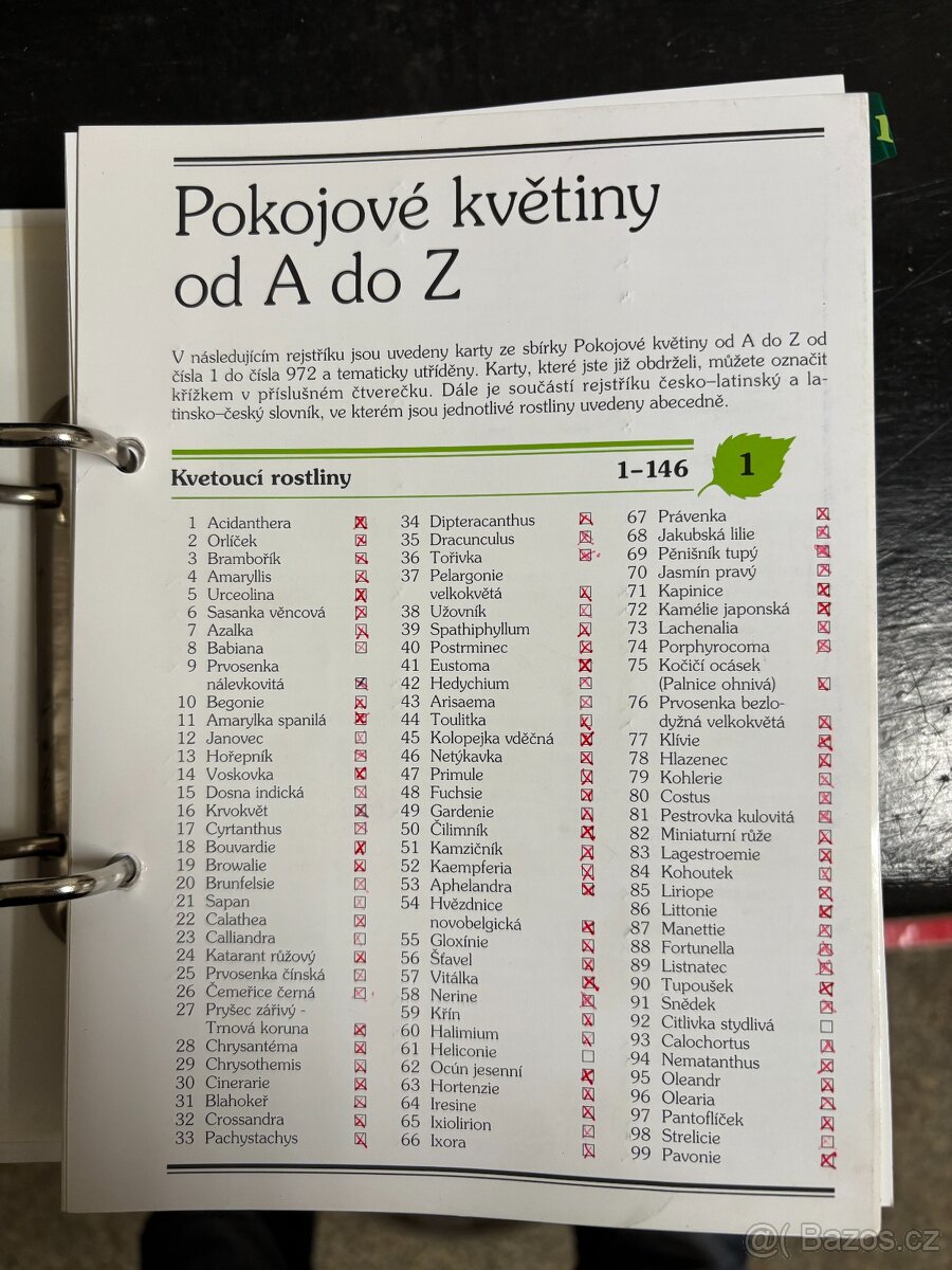 Pokojové rostliny od A do Z - 3