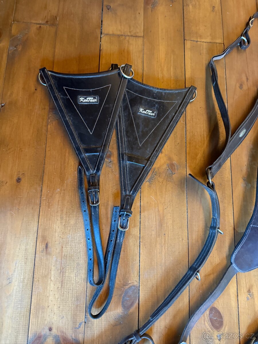 kožené vybavení - 3