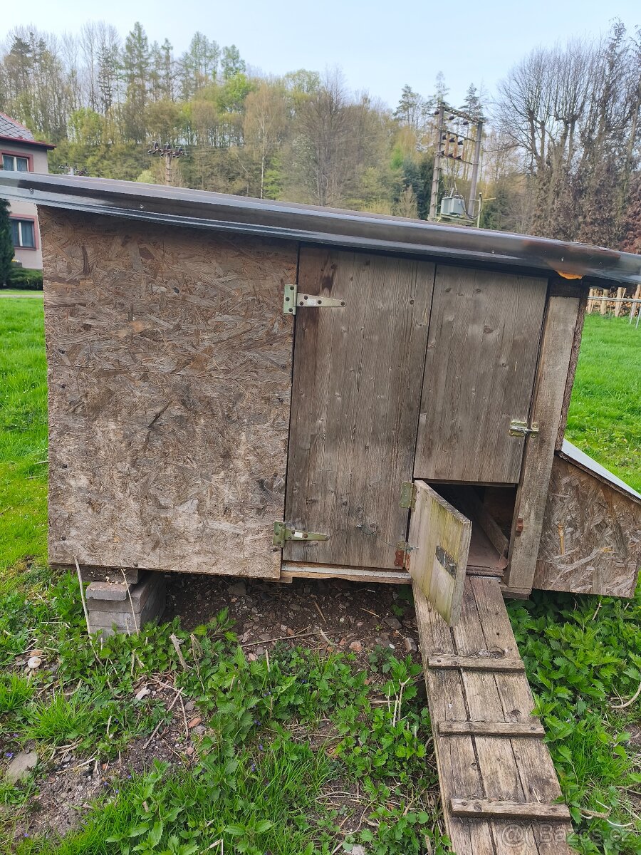 Kurník, slepice - 3