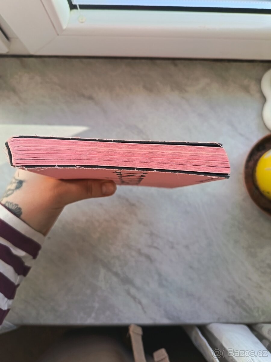 Prodám knihu Neradost - Karel Novotný - 3