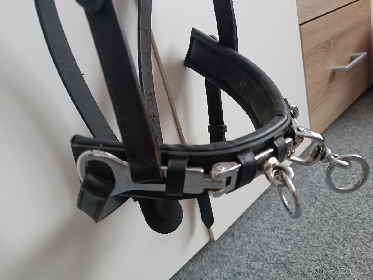 Lonžovací obnosek full - 3