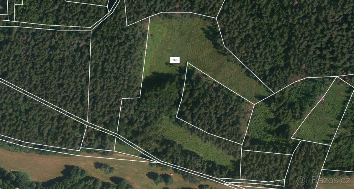 Prodej lesa 26262m2 - 3