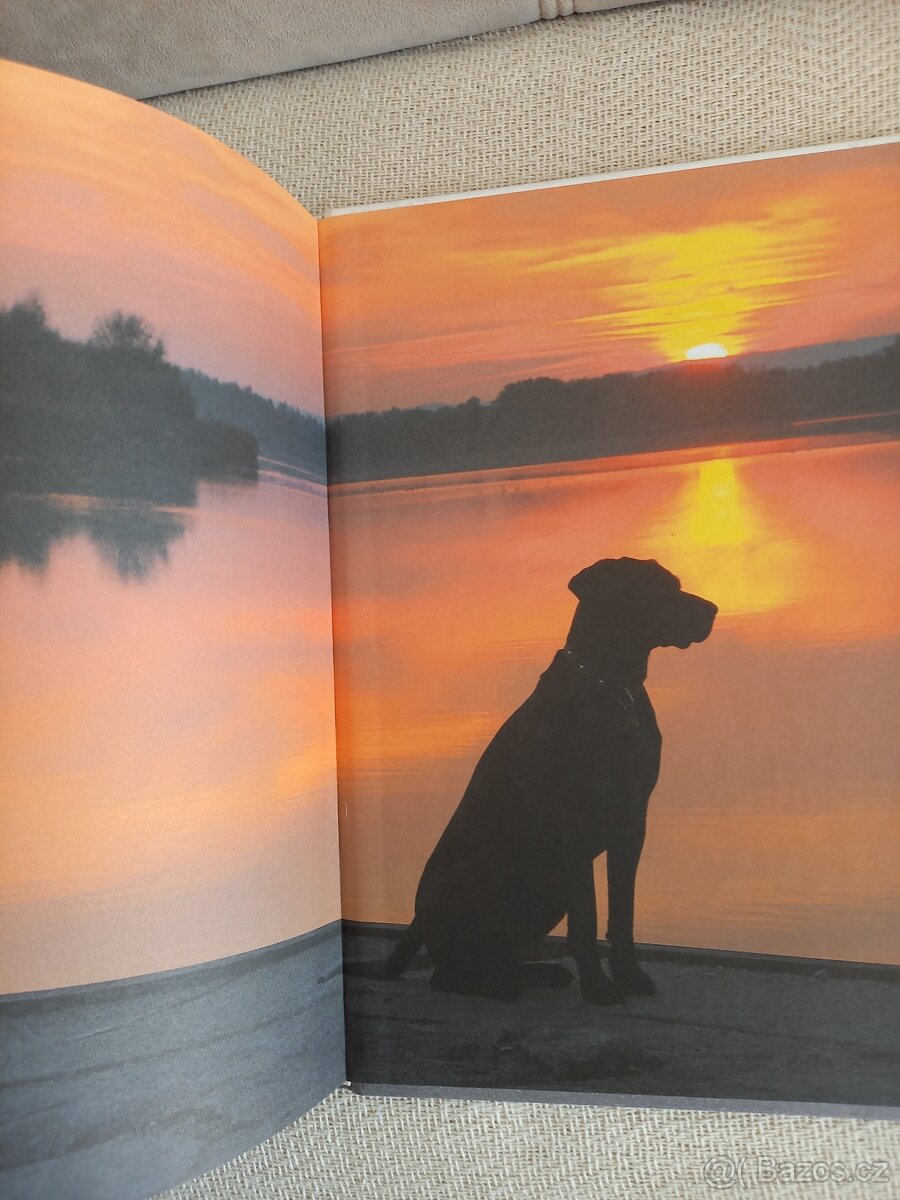 Z útulku až k moři - 3