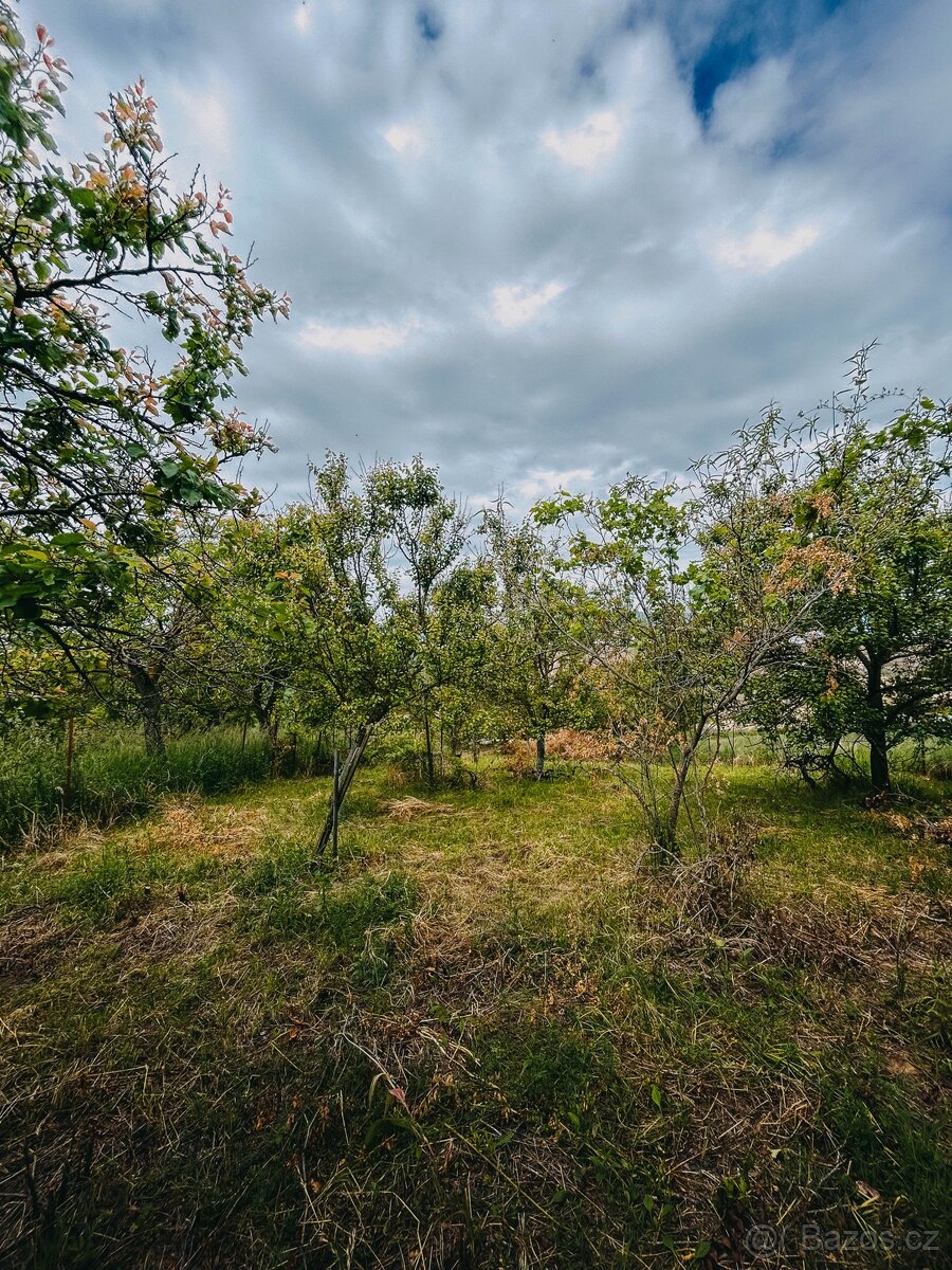 Zahrada Kyjov Sliny, plocha 1049m - 3