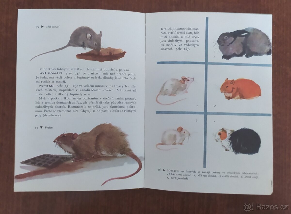 Kniha ZOOLOGIE pro 6 třídu 1963 / i ilustr. Burian / 3x náhl - 3