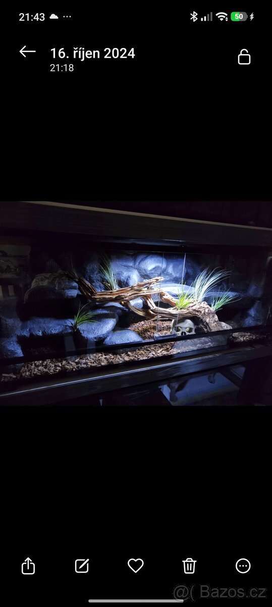 Terária s obyvateli - 3