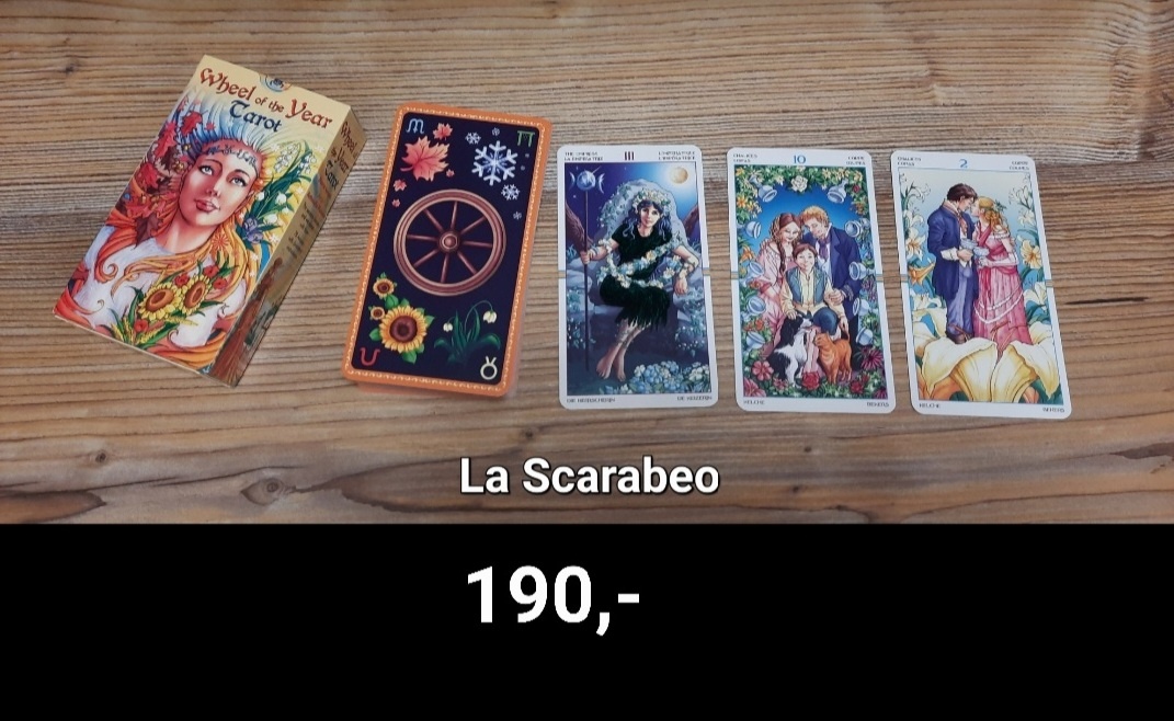 PRODÁM VYKLÁDACÍ KARTY + KNIHY - 3