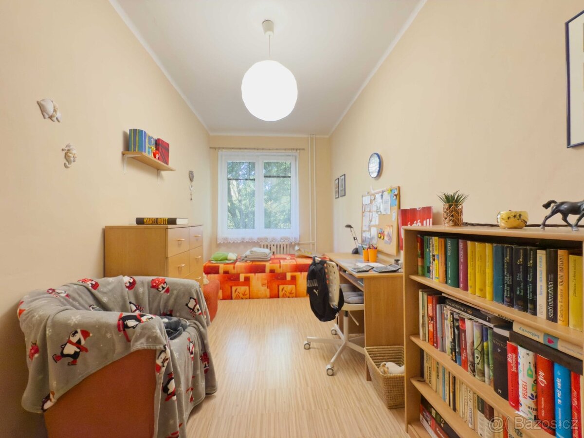 Pronájem bytu 3+1 - 3