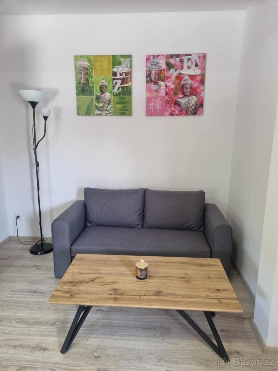 Pronájem 1+kk Halenkovice🏠- 3