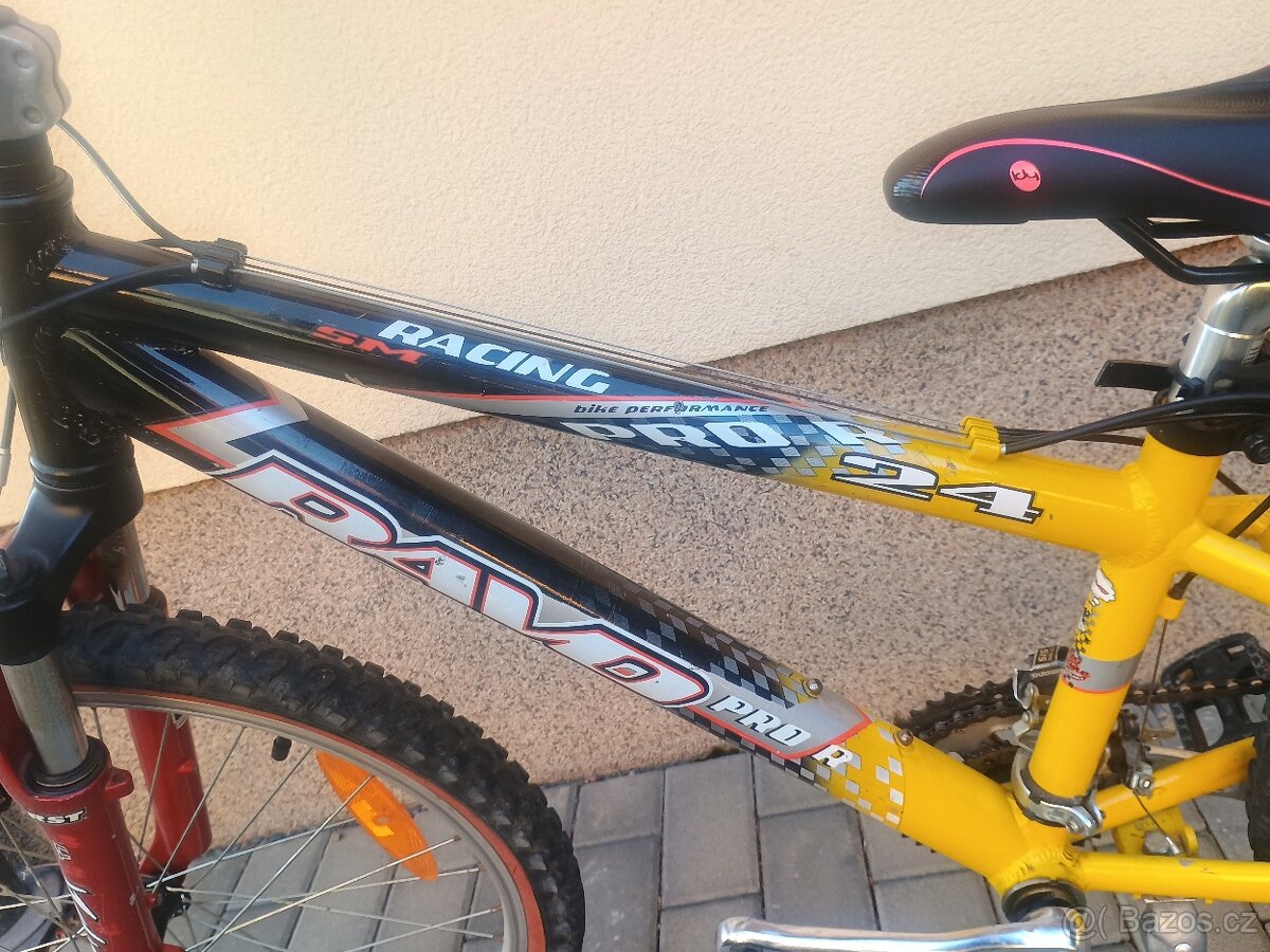 Dětské kolo 24" Ravo Racing Pro SM24 - 3