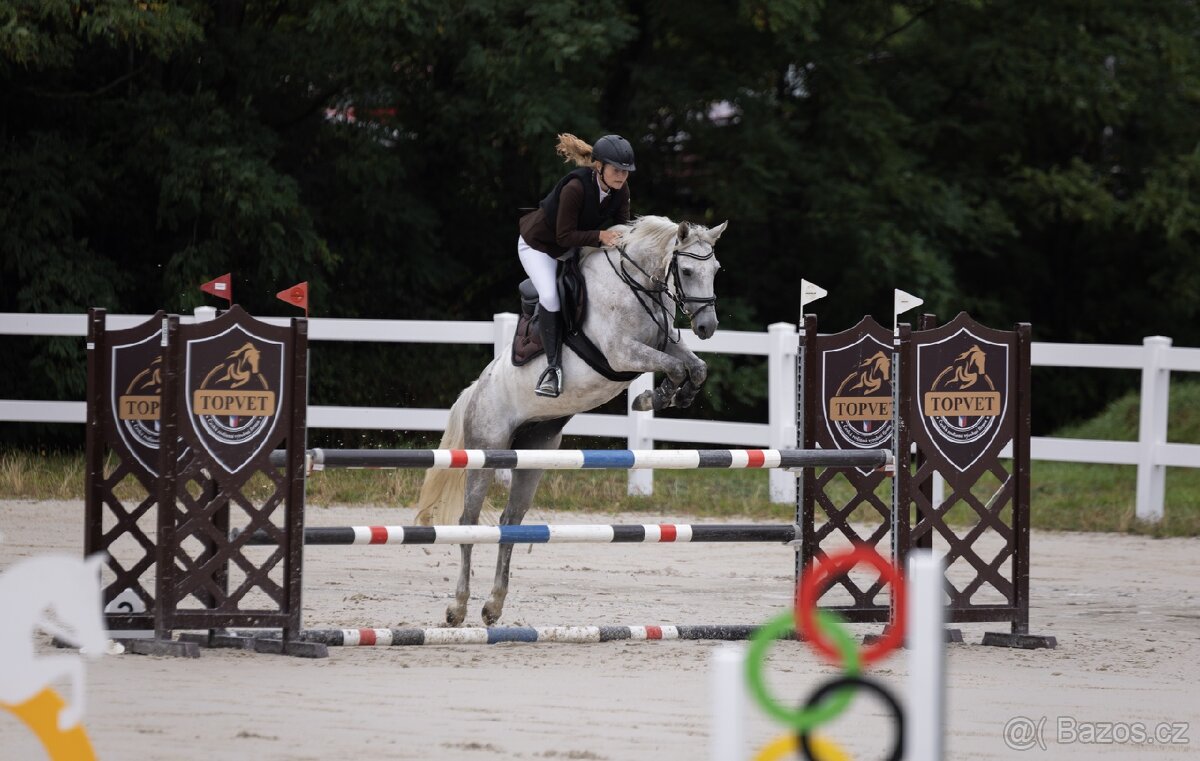 Sportovní pony B - 3