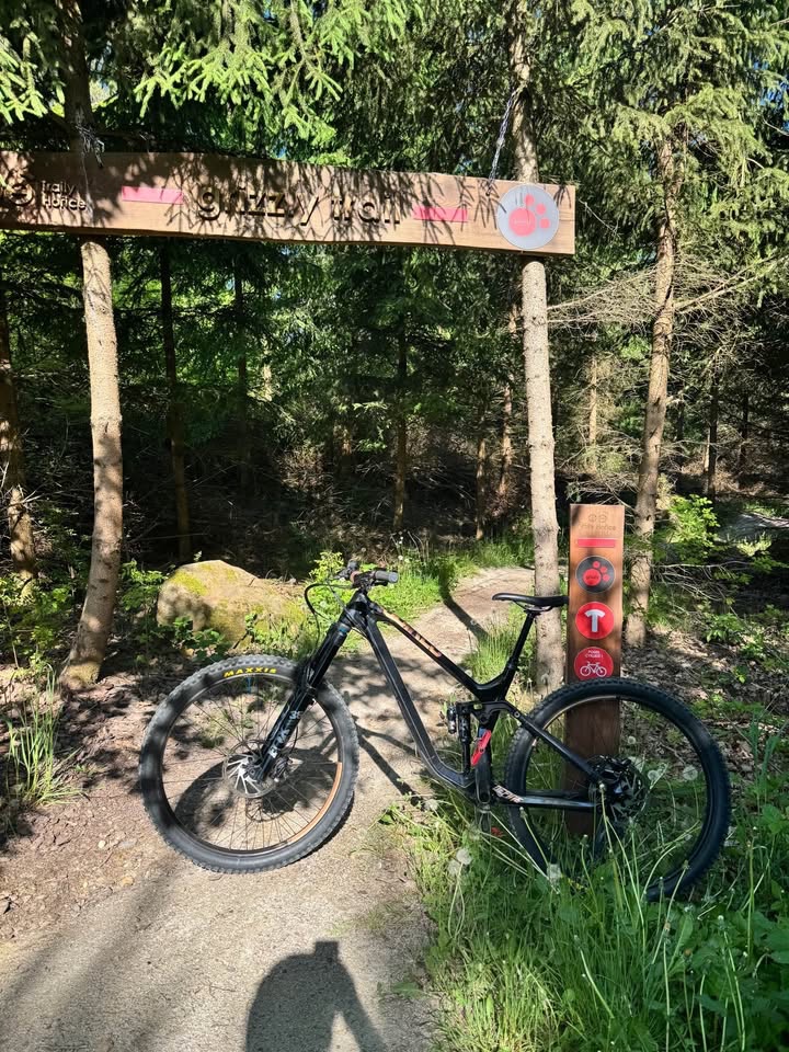 NS Bikes Define 150 29” Carbon - 3