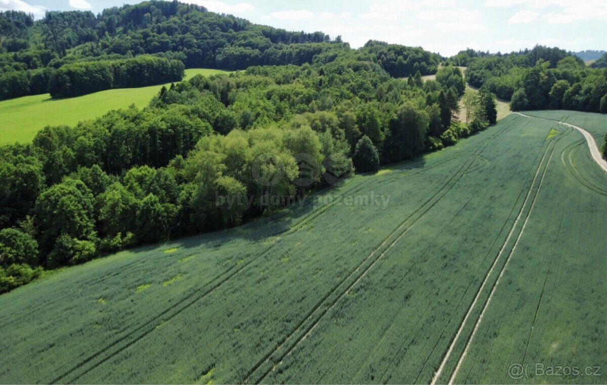Prodej lesa pole a ostatní plochy 5160 m², Baška Hodoňovice - 3