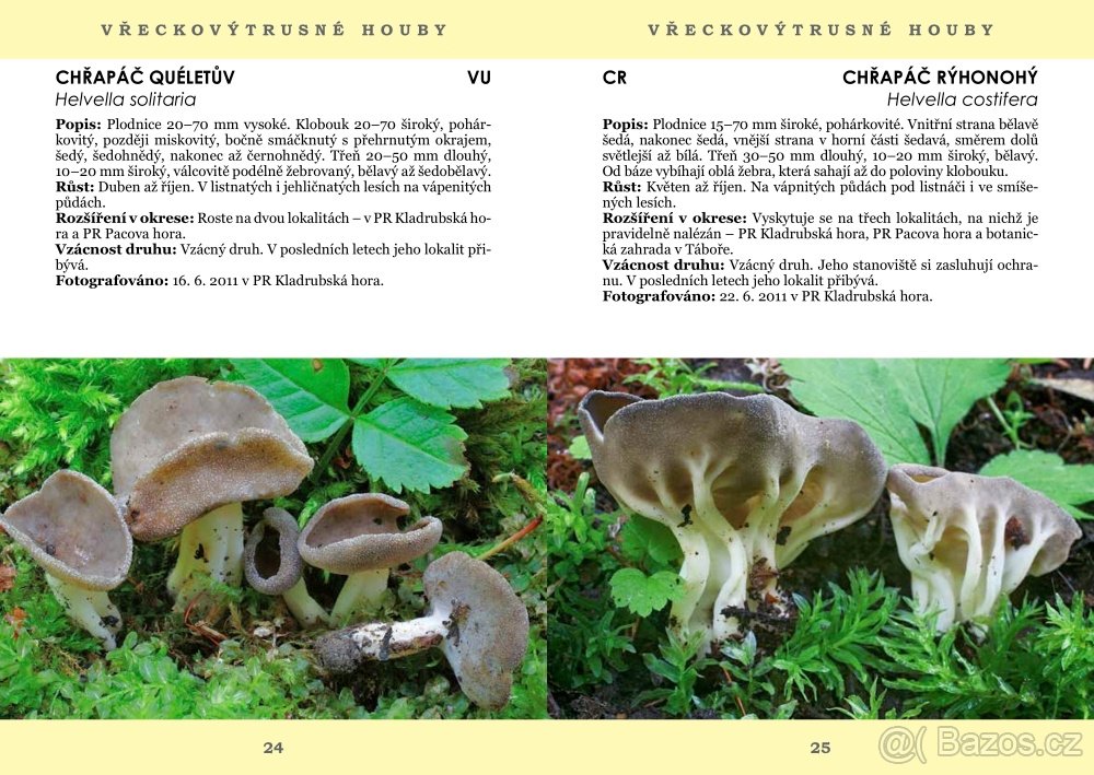 PAVEL ŠPINAR - VZÁCNÉ HOUBY TÁBORSKA - 3