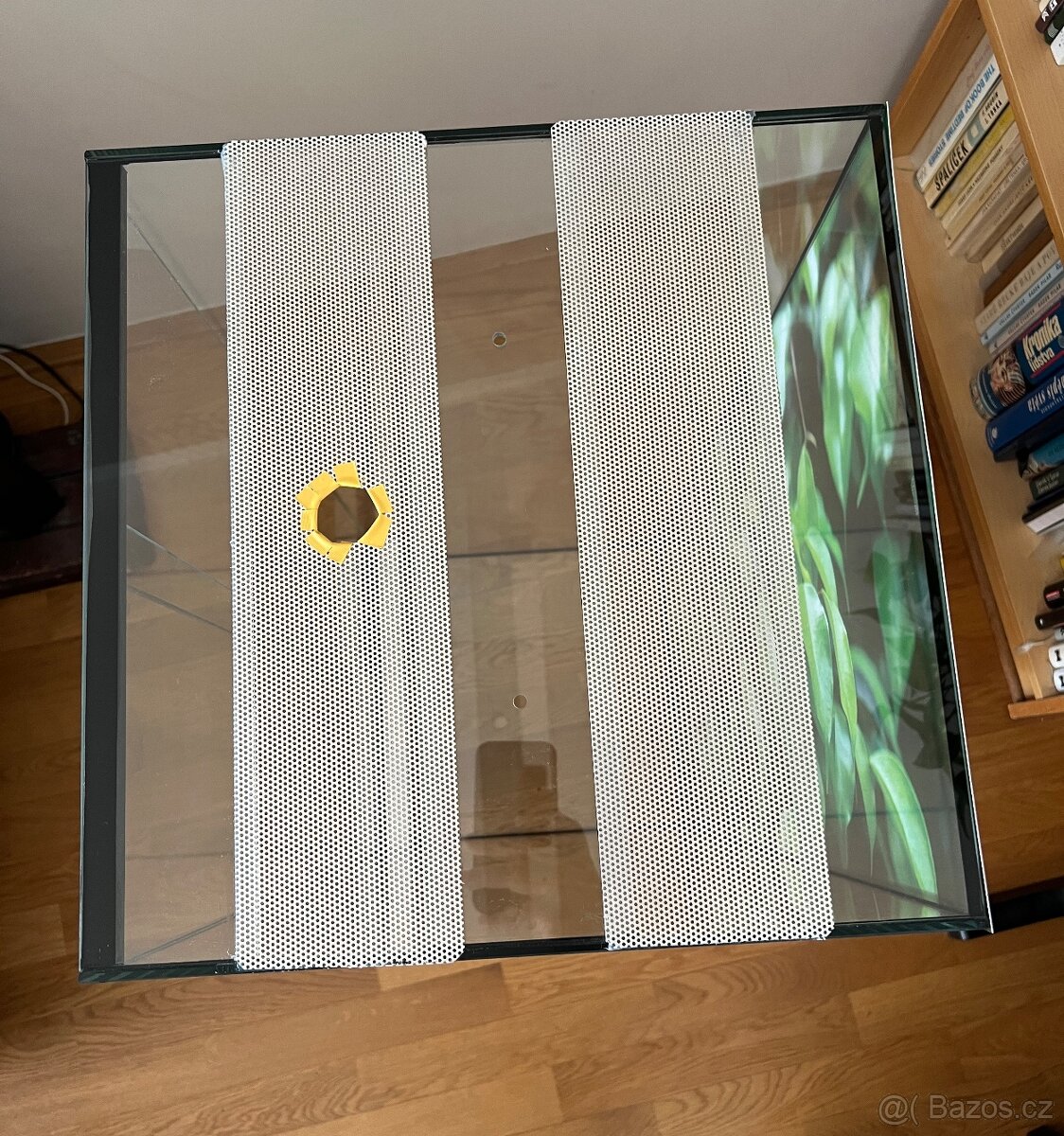 Skleněné terarium - 3