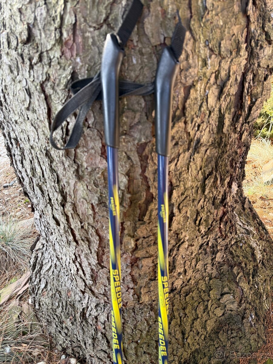 Hůlky na běžky Junior vel 120 - 3