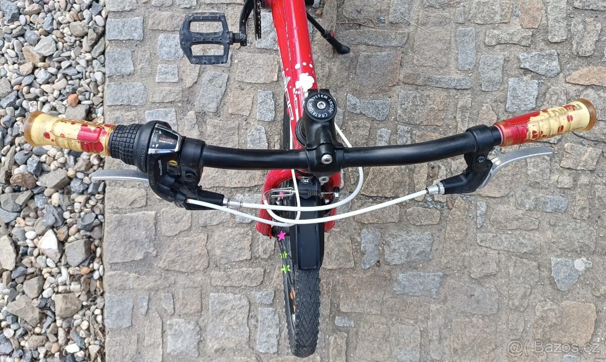 Dětské kolo Superior Paint 20 - 3