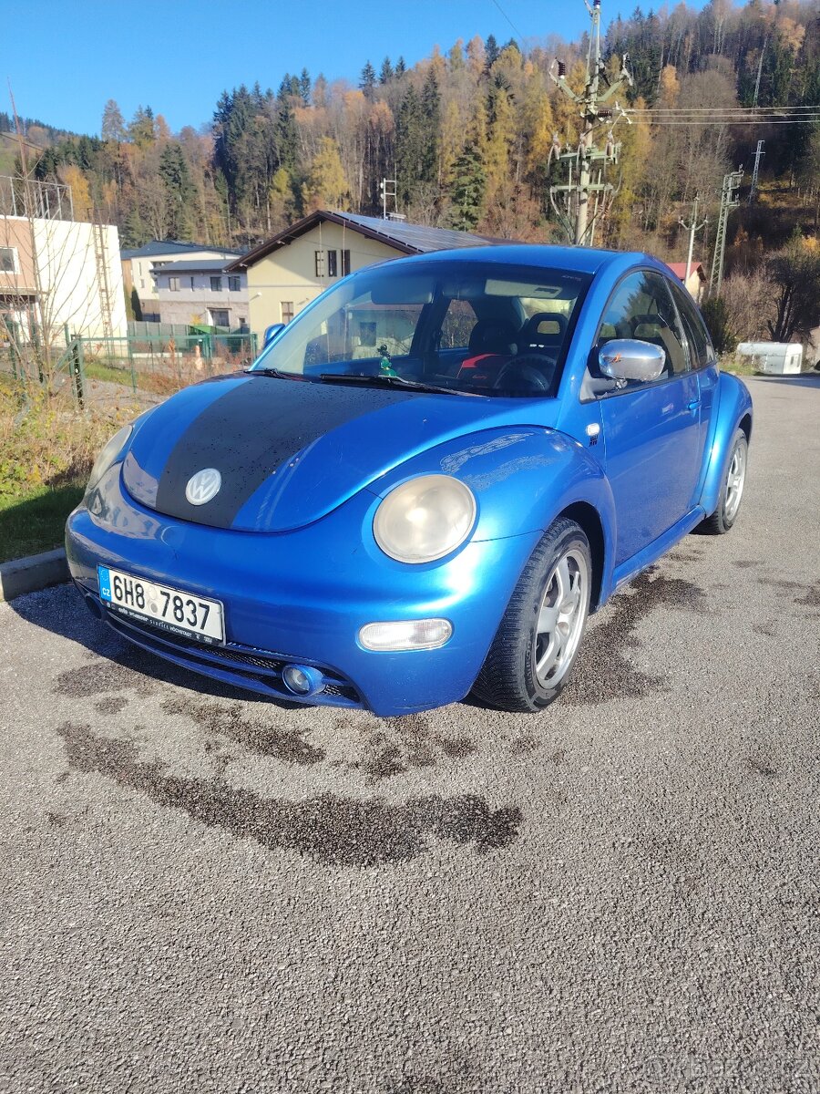 New Beetle - 3