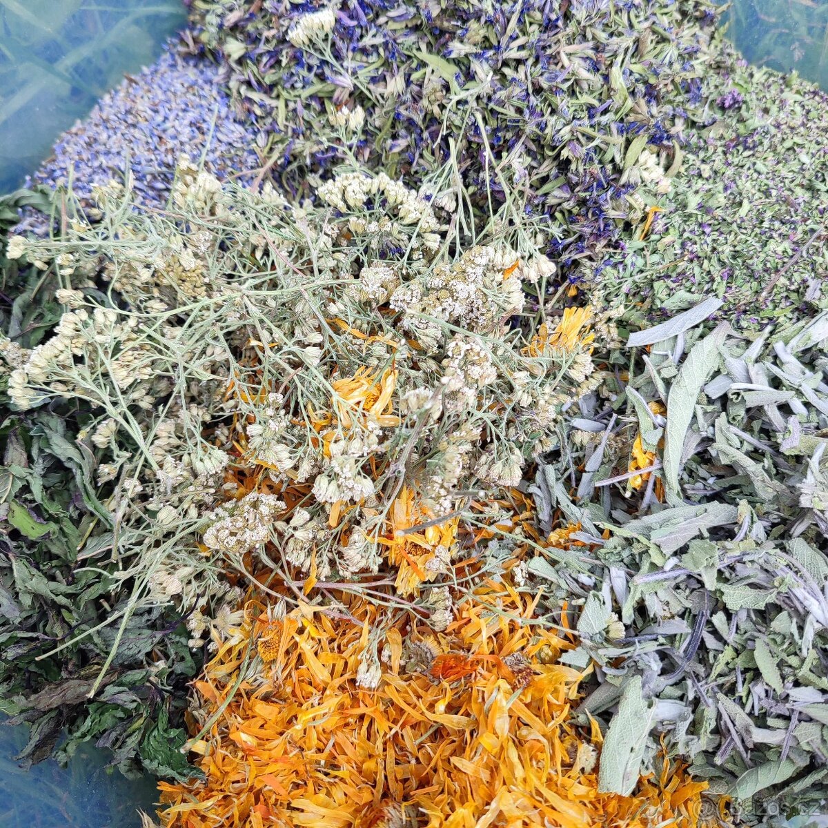 Sušené bylinky - 3