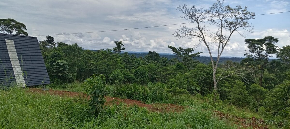 Pozemek v Amazonii - 3