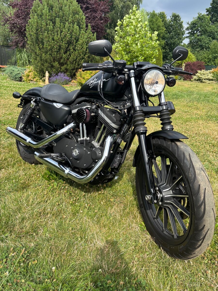 Harley Davidson Sportster iron 883 - 3