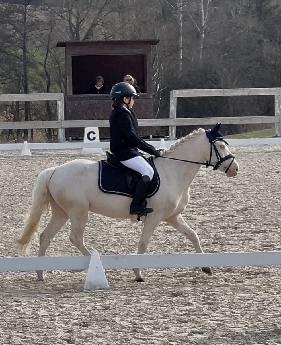Prodám sportovního pony S - 3