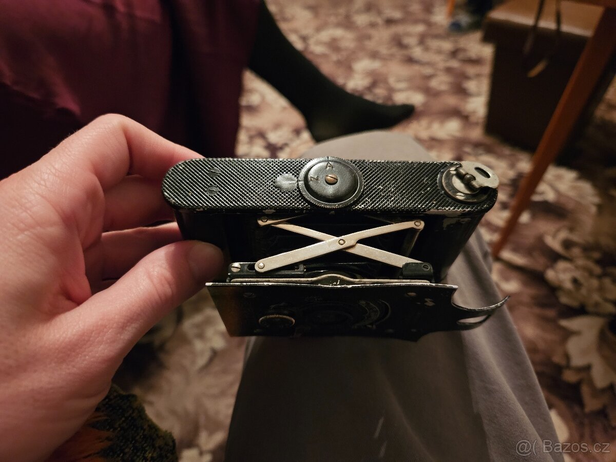 Piccolette Contessa - 3