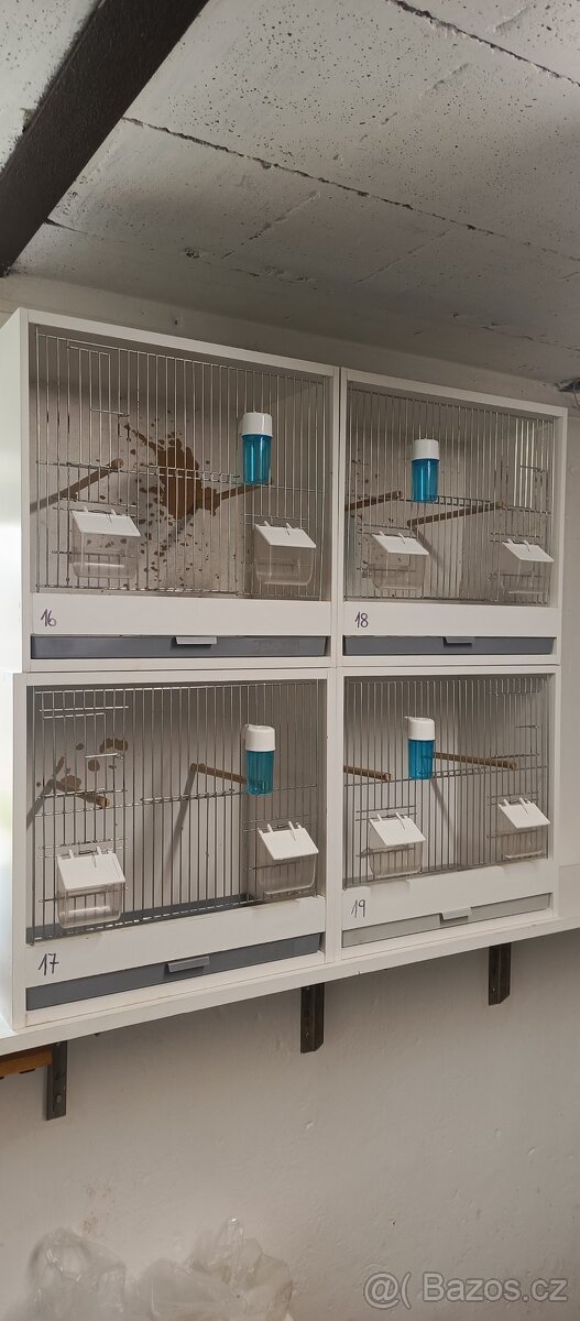 Prodám bednové klece - 3