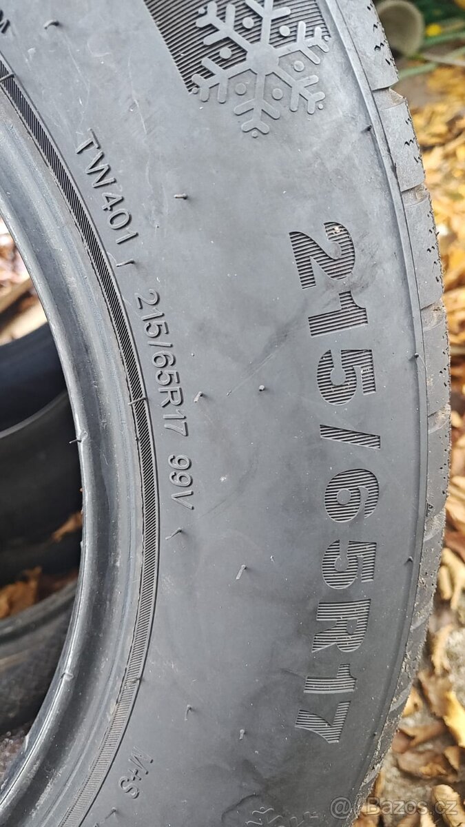 Triangle WinterX TW401 215/65 R17 - 3
