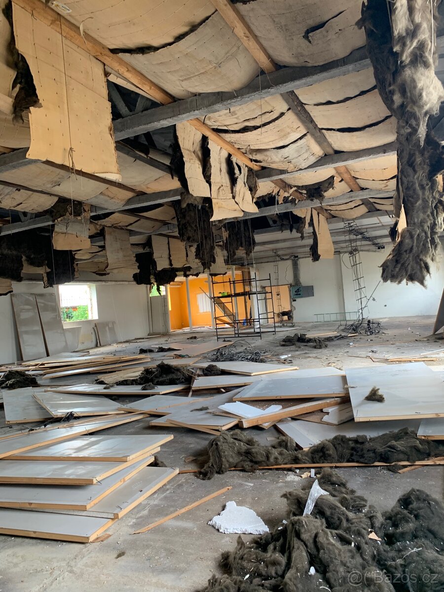 Výkopové a Bourací práce ručně či minibagrem. - 3