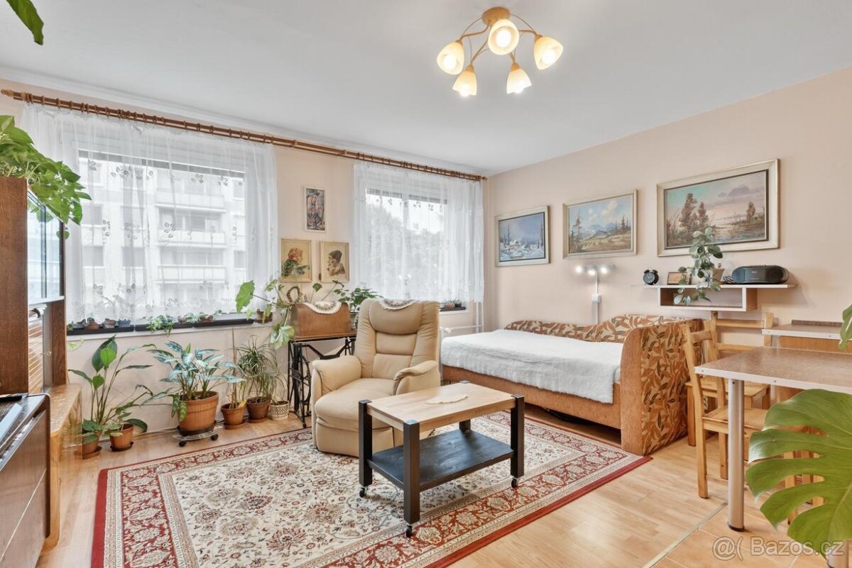 Pronájem bytu 1kk - sídliště Pod Vyhlídkou - 3