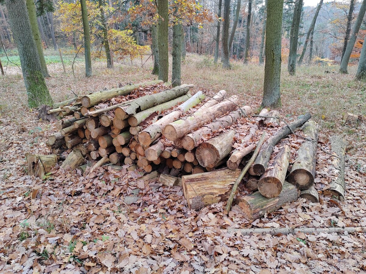Palivové dřevo - 3