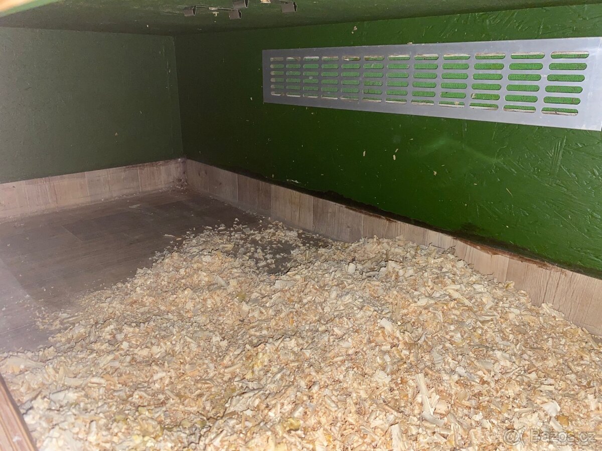 Prodám terárium - 3