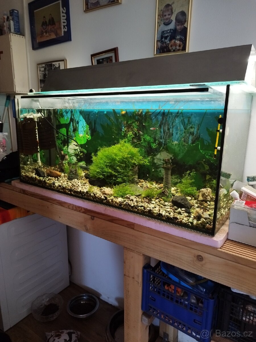 Prodám akvárium i s příslušenstvím - 3