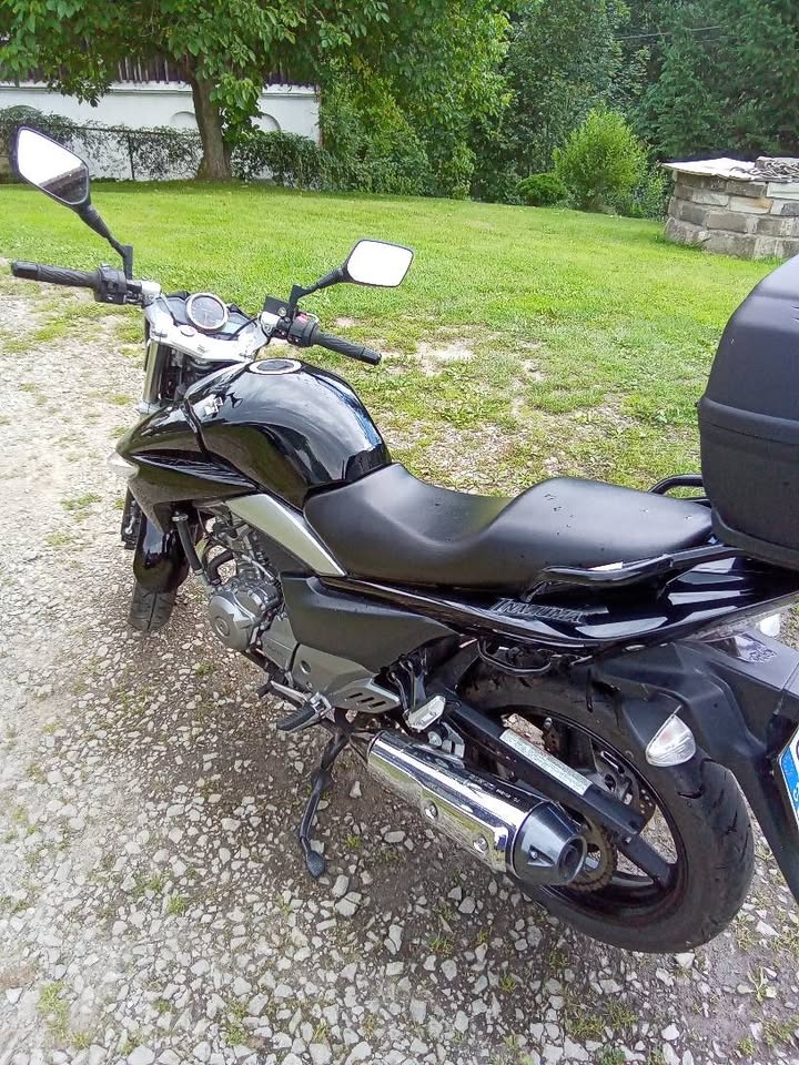 Suzuki Inazuma - 3