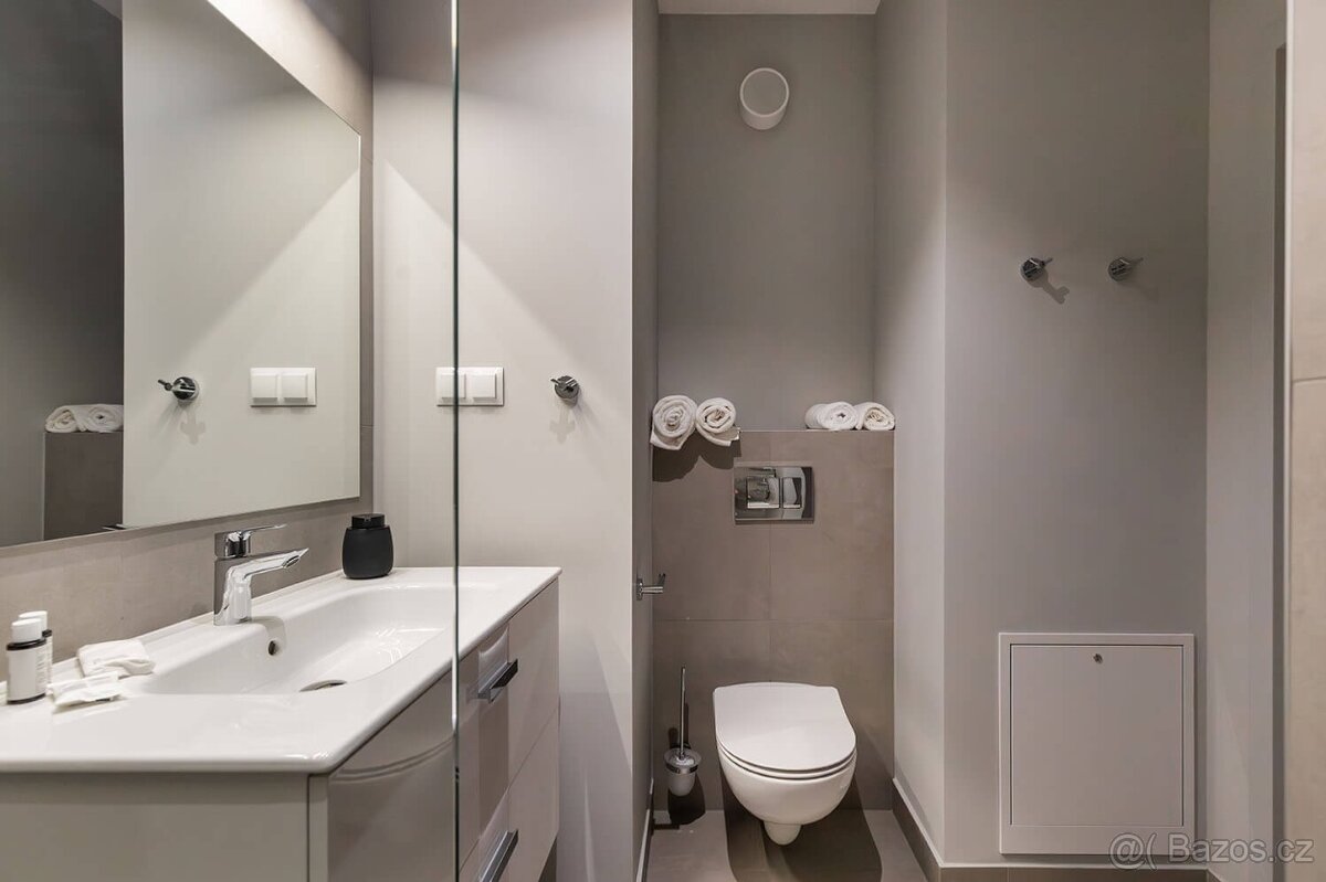 Byt 1+kk, Doudlevce, Plzeň - 3