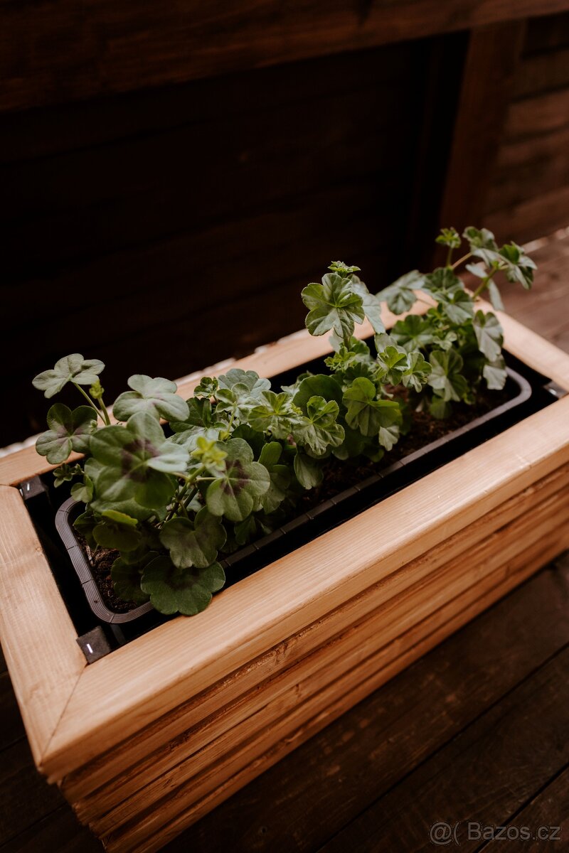 Dřevěný truhlík - 3