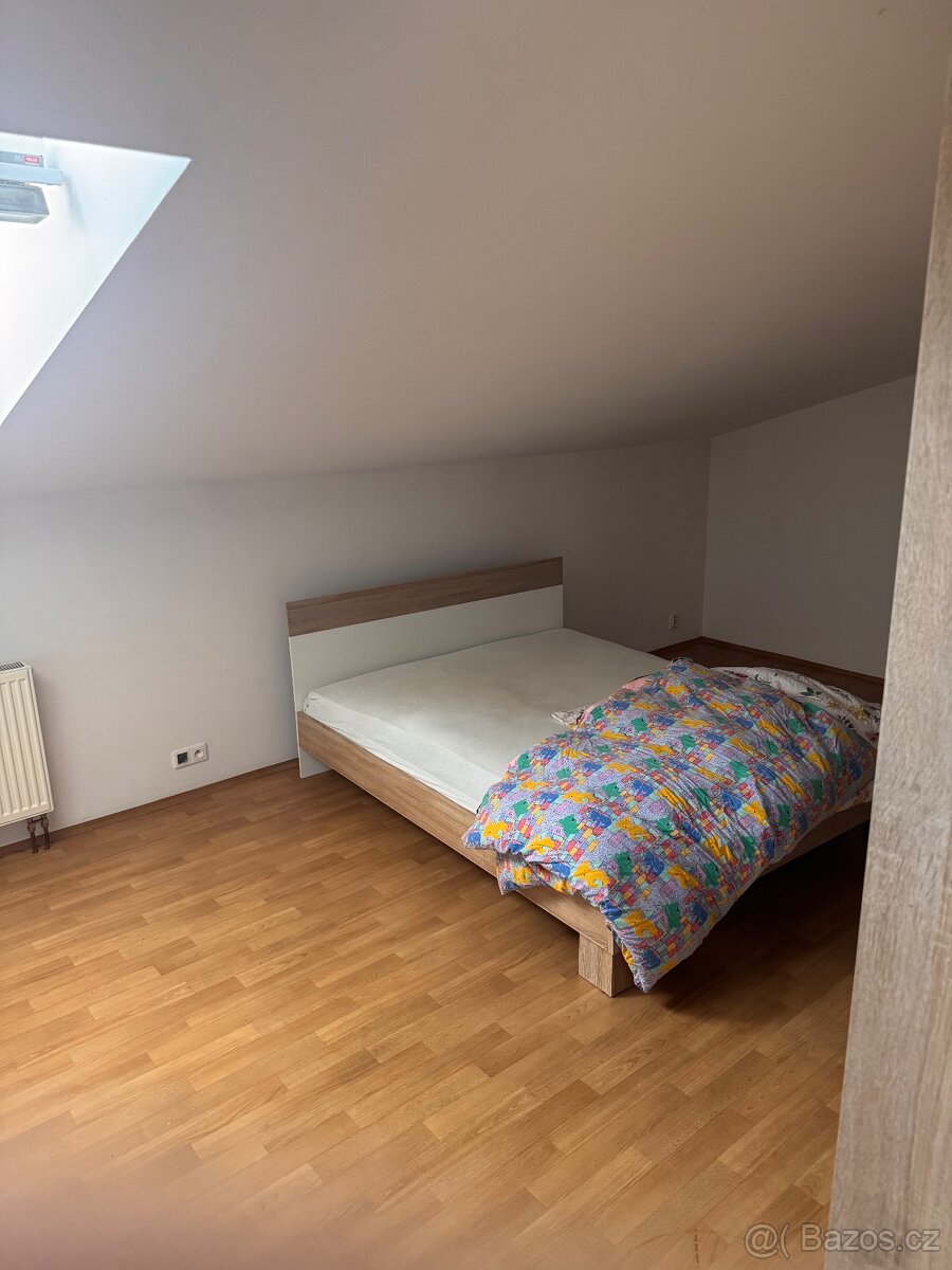 Hledám spolubydlícího/spolubydlící - 3