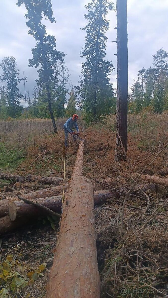 Zahradnické práce - 3