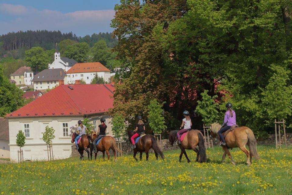 Ustájení koní na Šumavě - 3