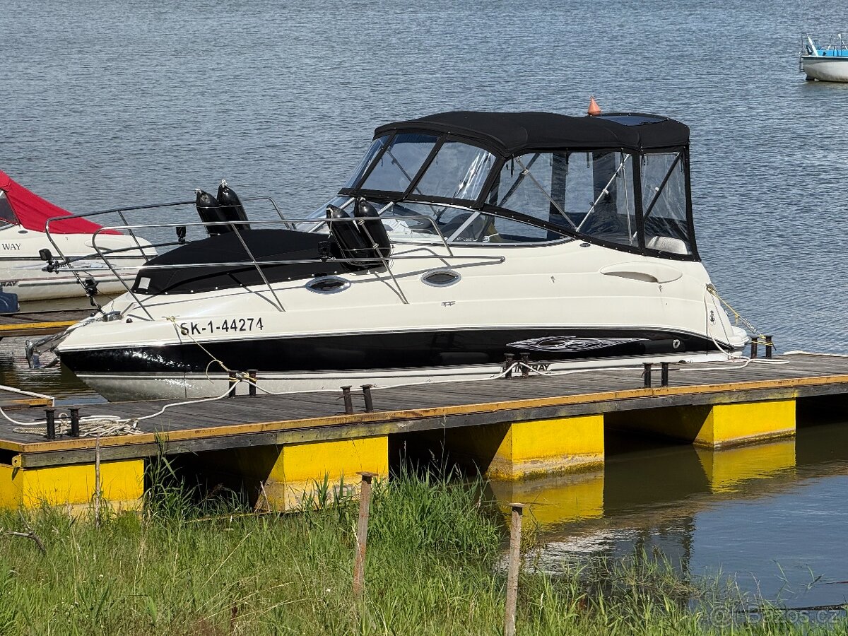 STINGRAY 250CS + príves - 3