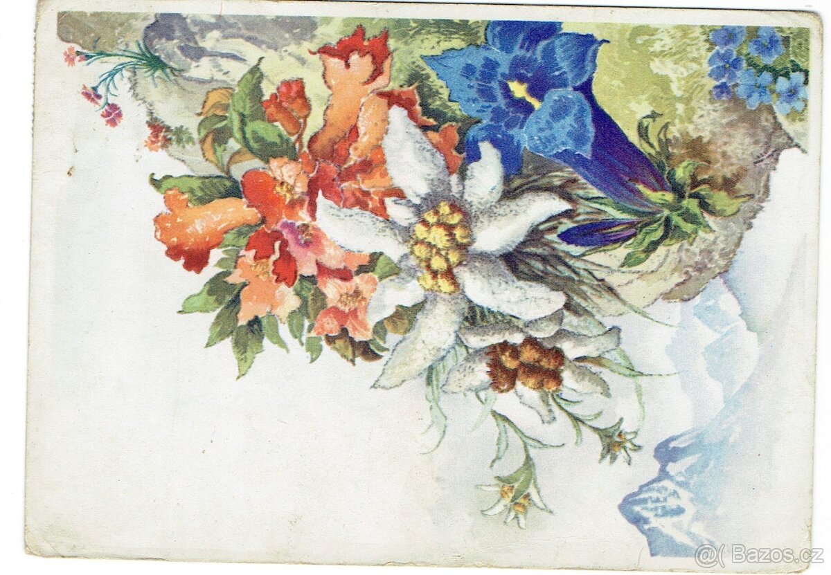 STARÉ POHLEDNICE - 3