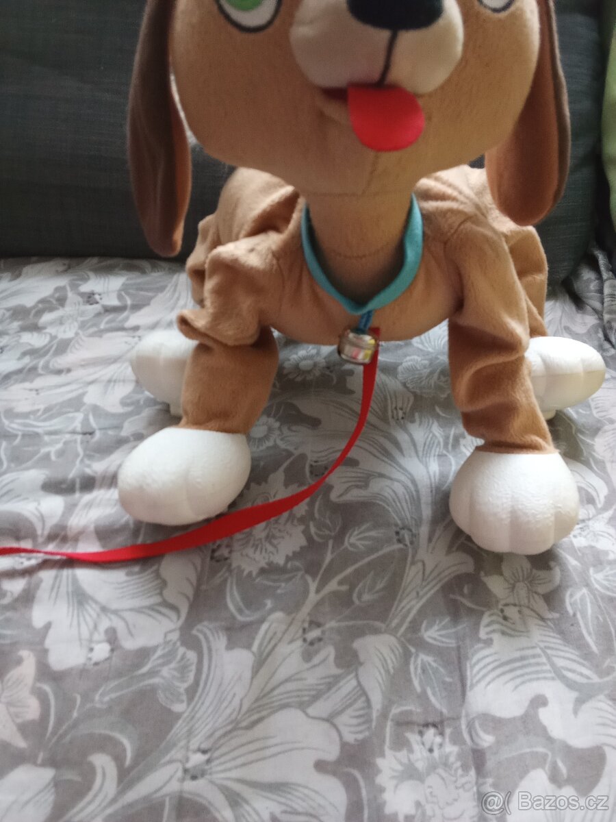 Krásný pejsek floppy - 3