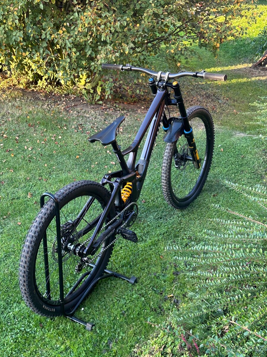 Specialized Demo race - 3