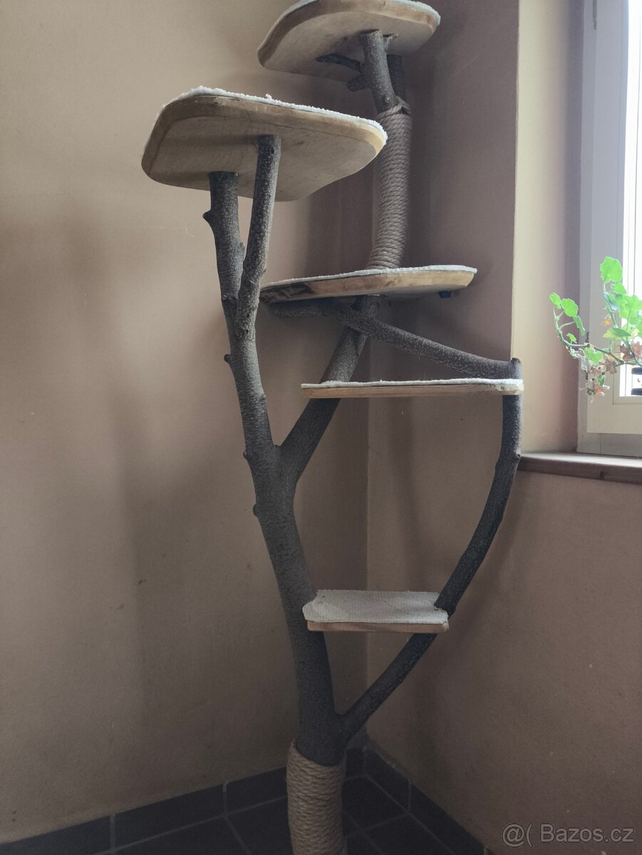 Kočičí škrabadlo - 3